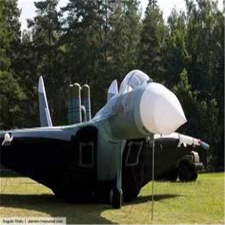 尤溪充气模型飞机制造商家